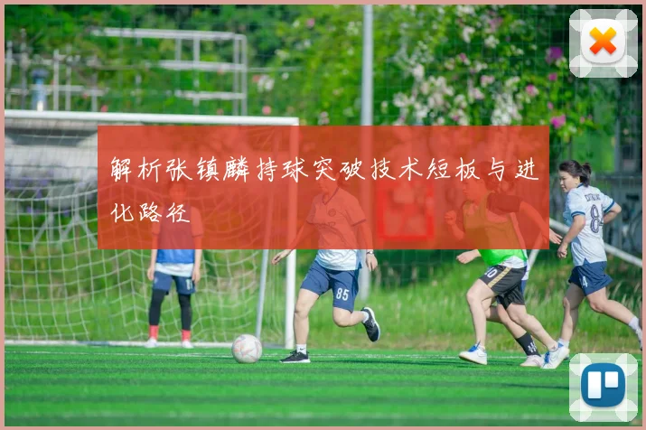 解析张镇麟持球突破技术短板与进化路径
