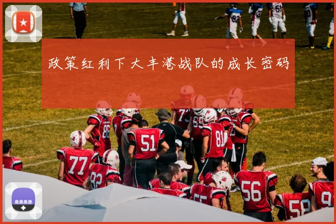 政策红利下大丰港战队的成长密码