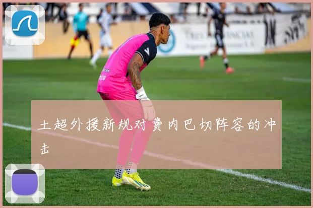 土超外援新规对费内巴切阵容的冲击